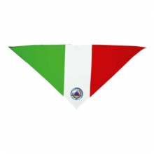 Art. 154 - Foulard triangolare tricolore